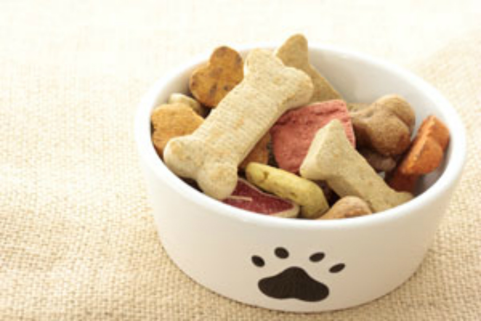 Healthy-Dog-Treats